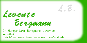 levente bergmann business card